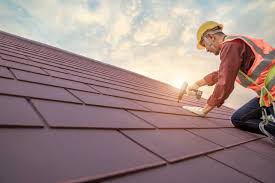 Best Roof Maintenance and Cleaning  in Elsmere, KY